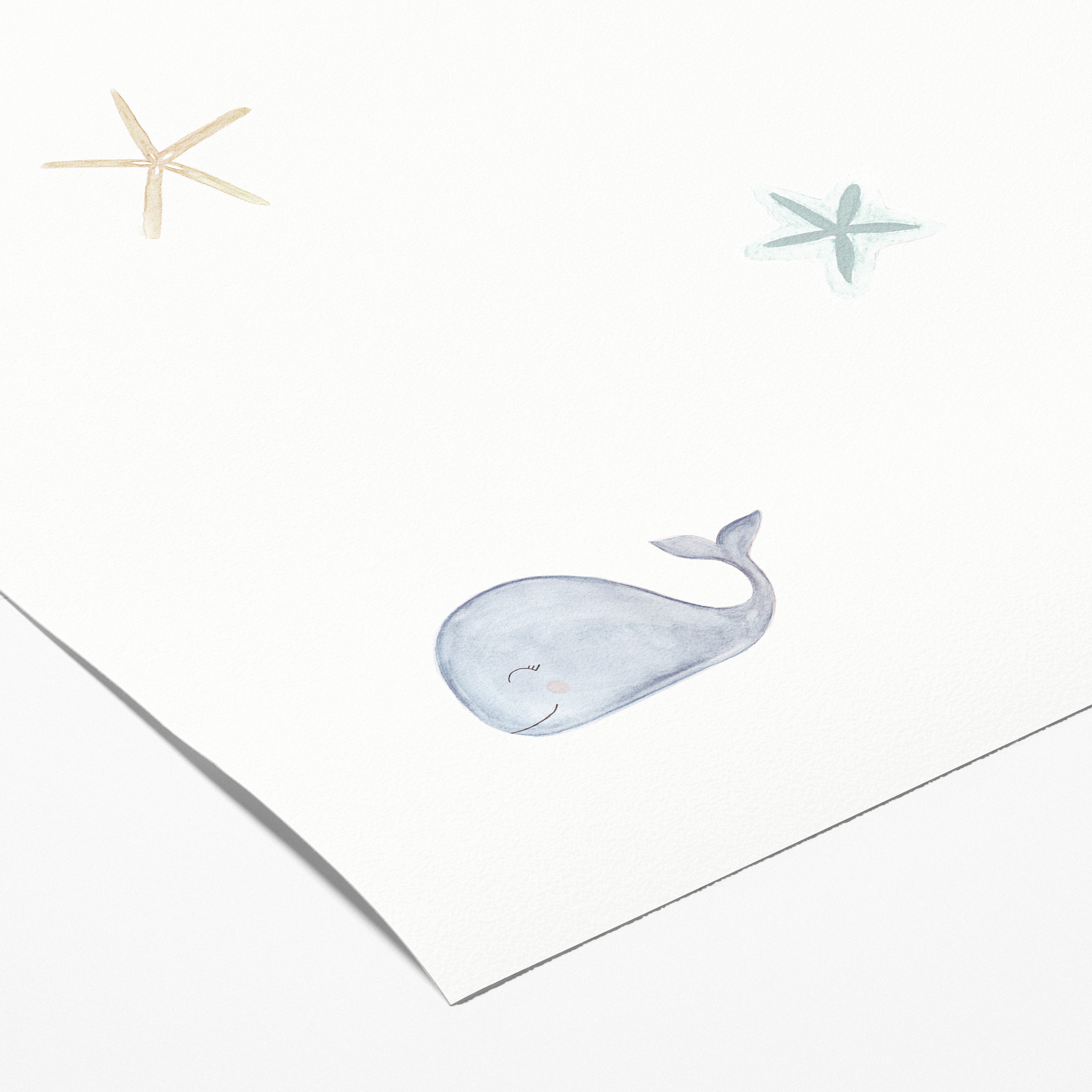 Muestra - Papel de parede Fundo Marinho