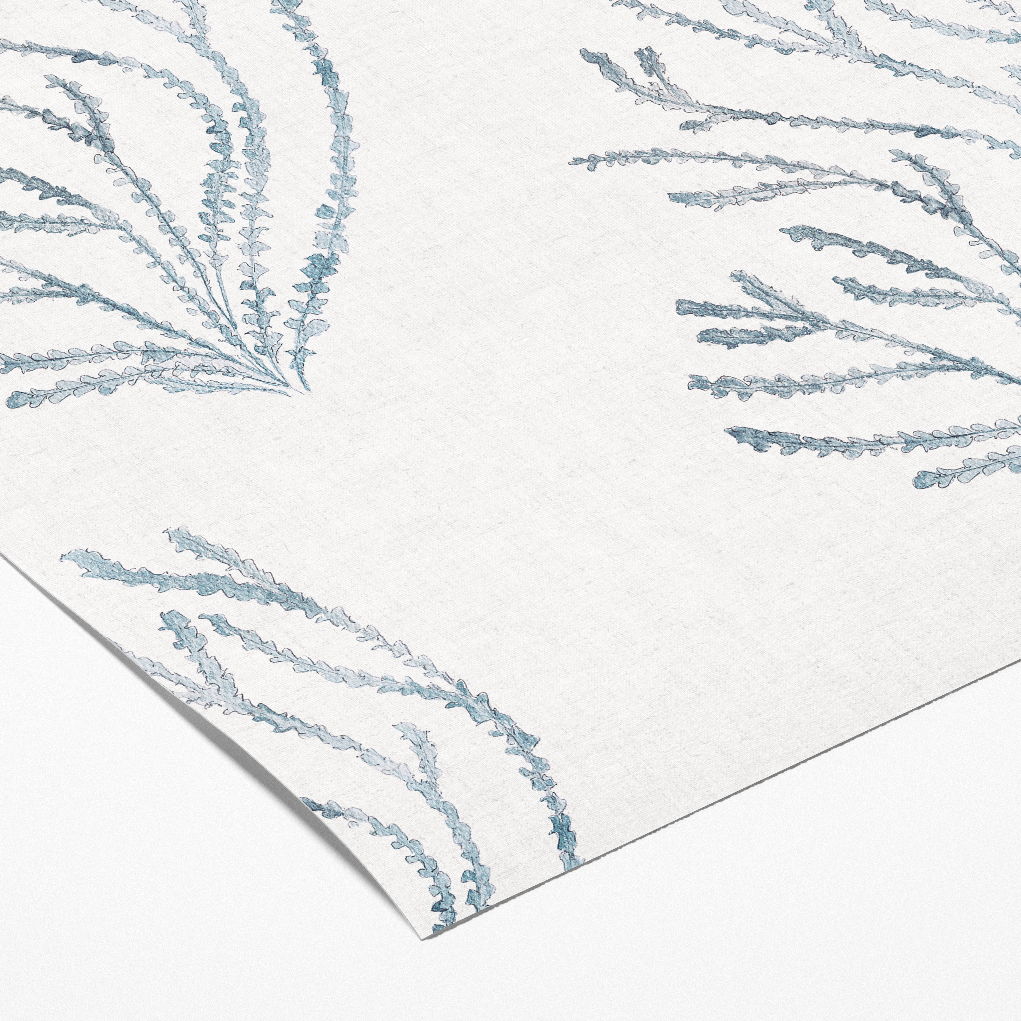 Muestra - Veridiana azul