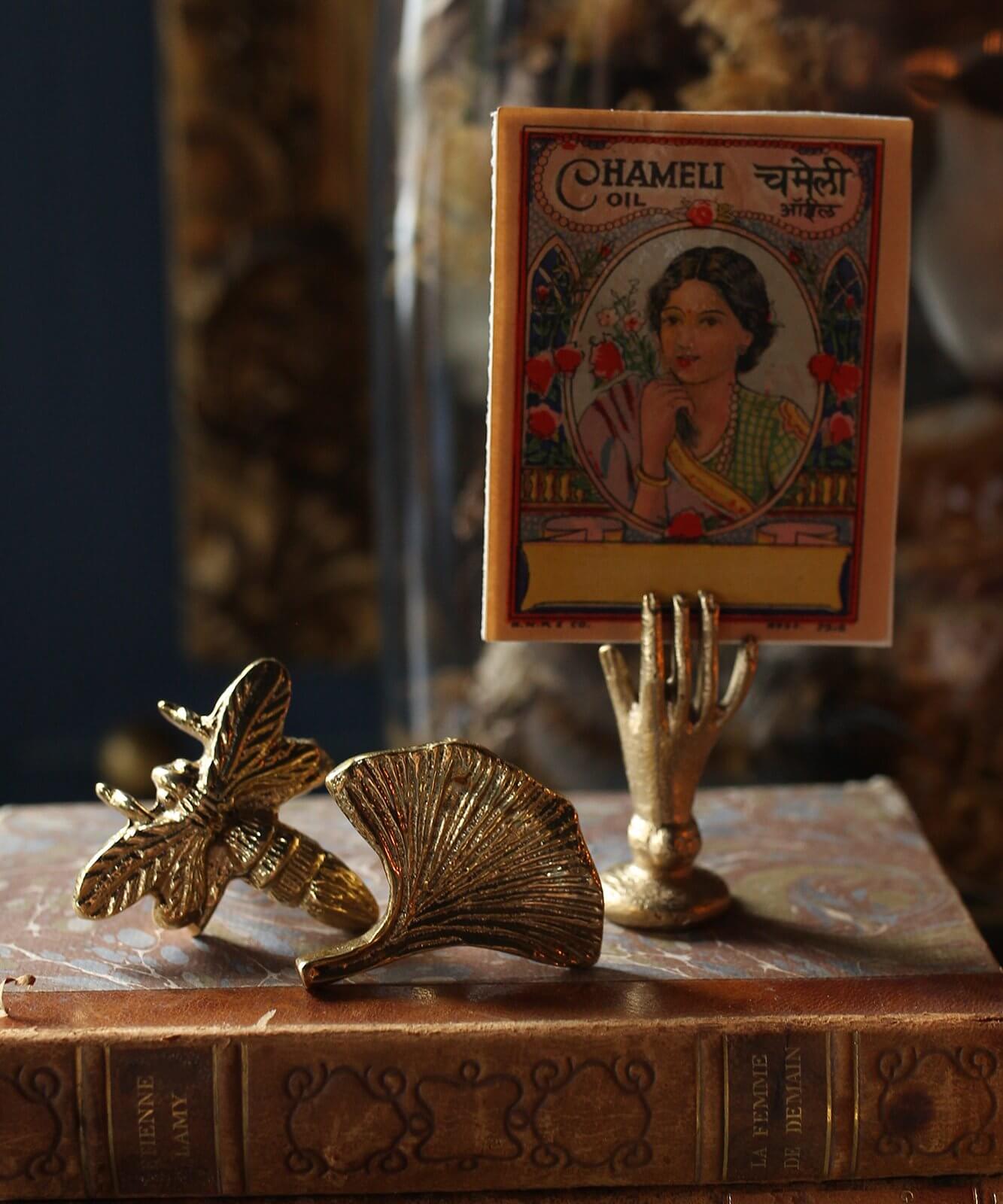 Tirador Flora Ginkgo para decoración