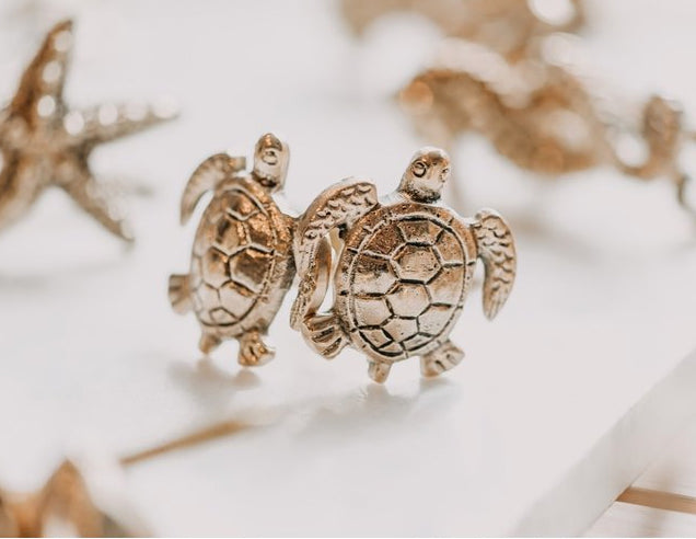 Tirador Tortuga Tommy Turtle