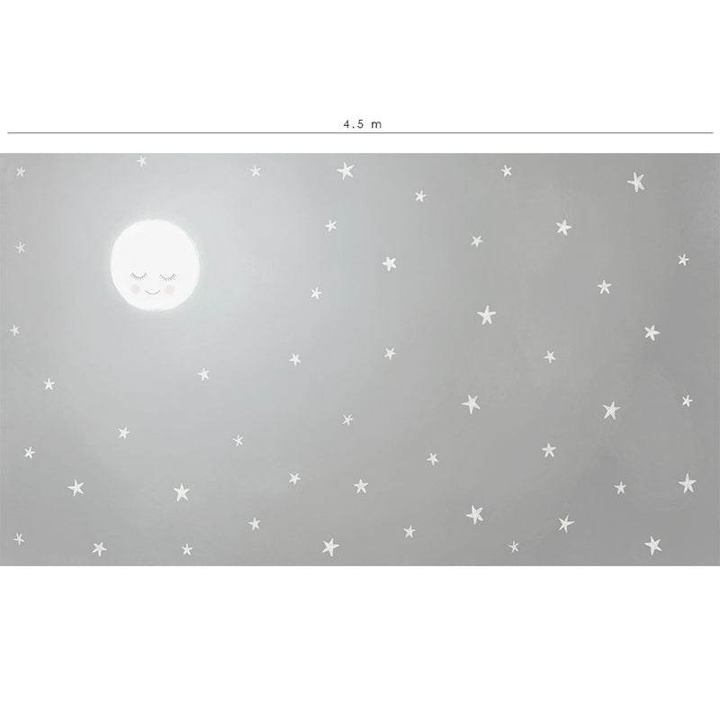 Mural de pared Mi Cielo - gris con un dulce dibujo de luna llena iluminando la noche estrellada.