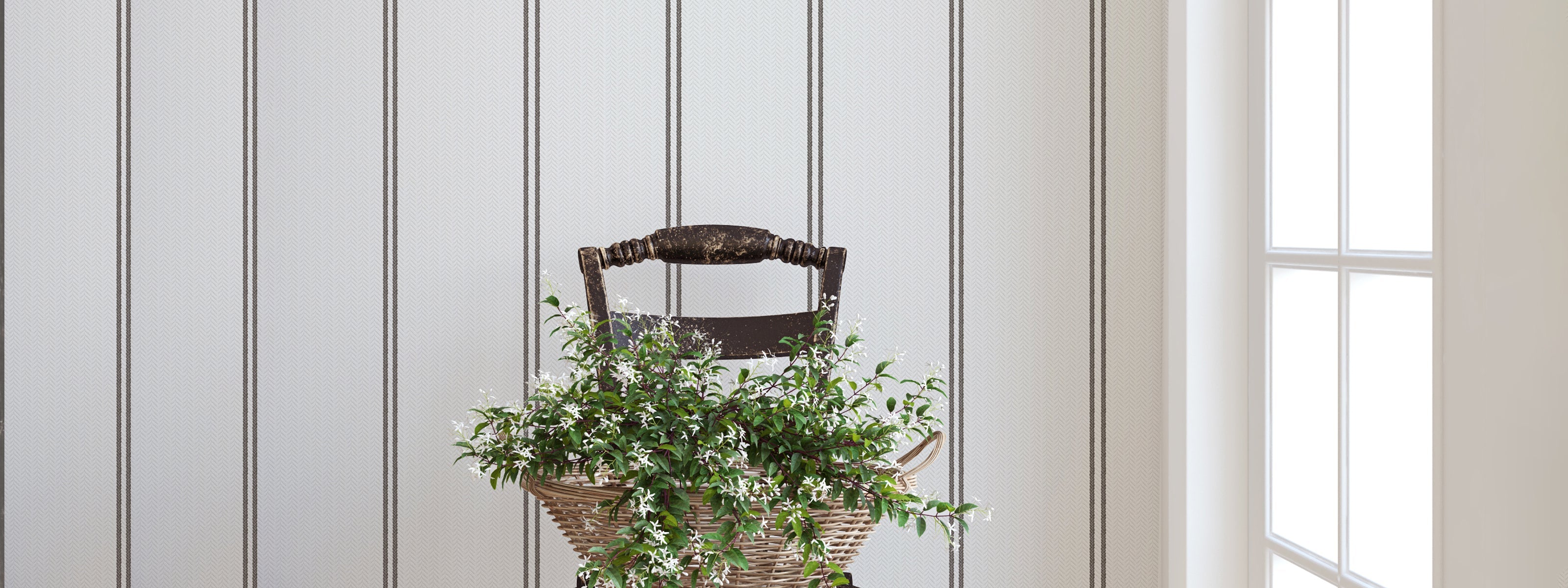 Selection of the Month