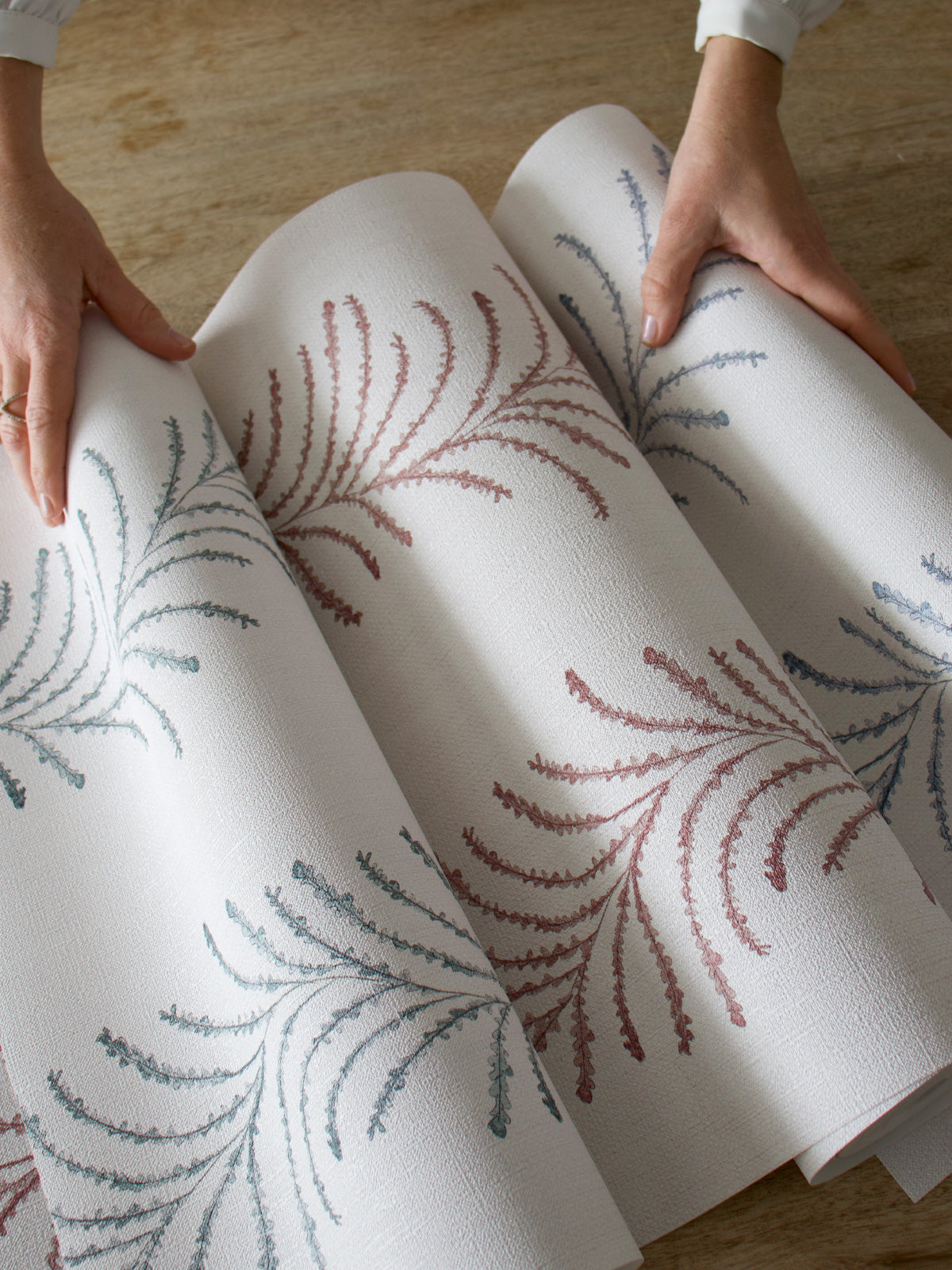 Ondine Collection
