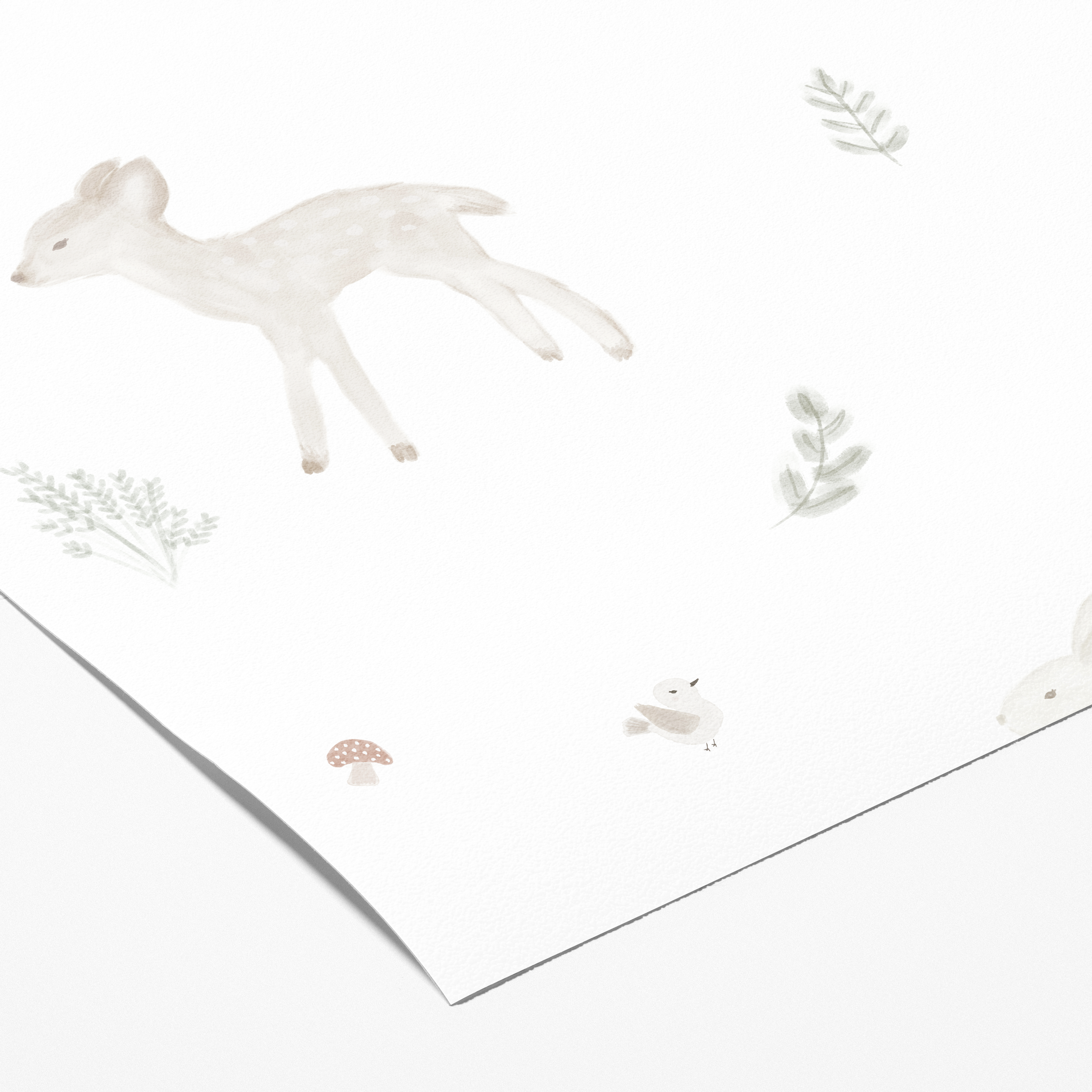 Muestra -  Mi Pradera