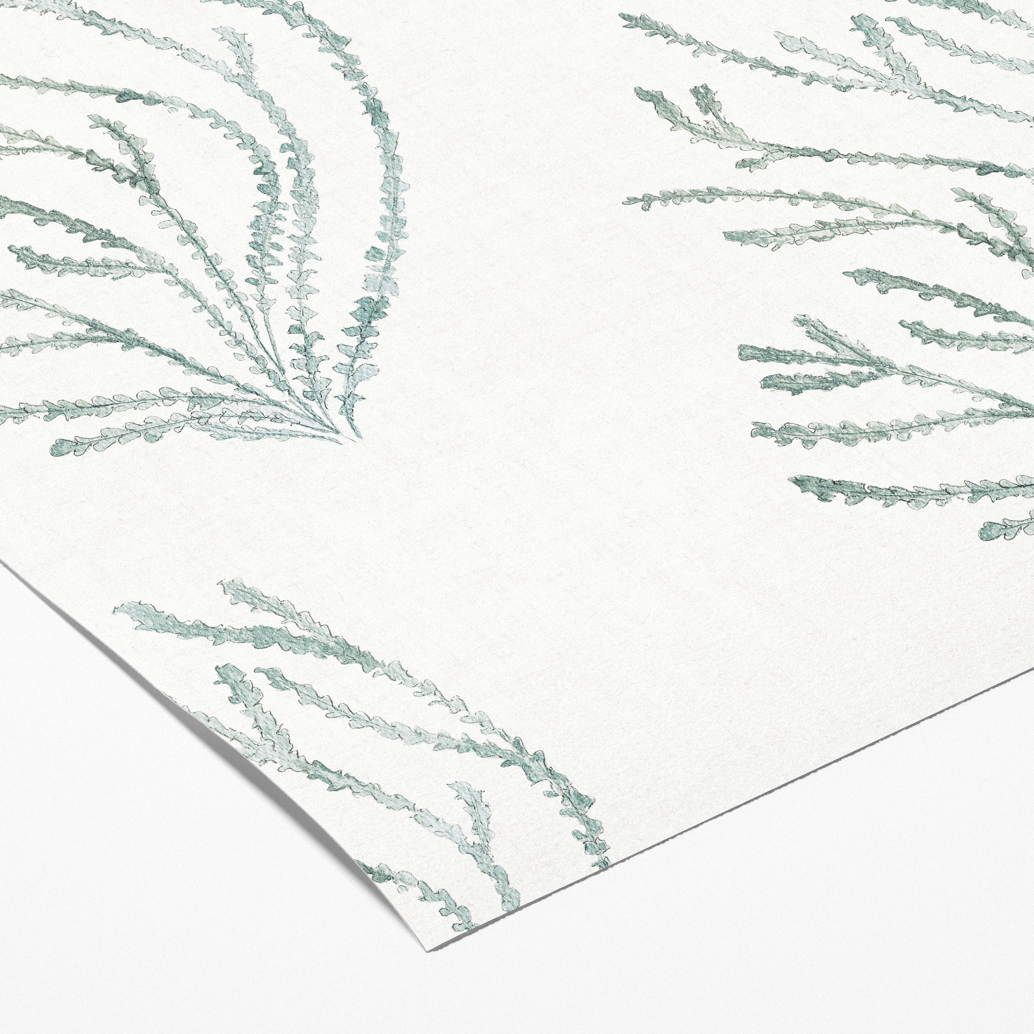 Muestra - Veridiana verde