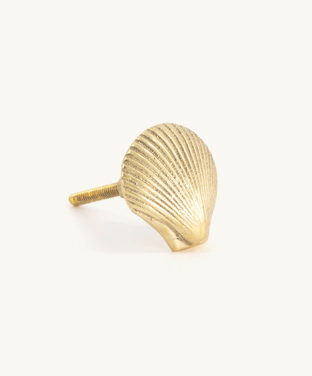 Tirador Concha para decorar cuartos infantiles