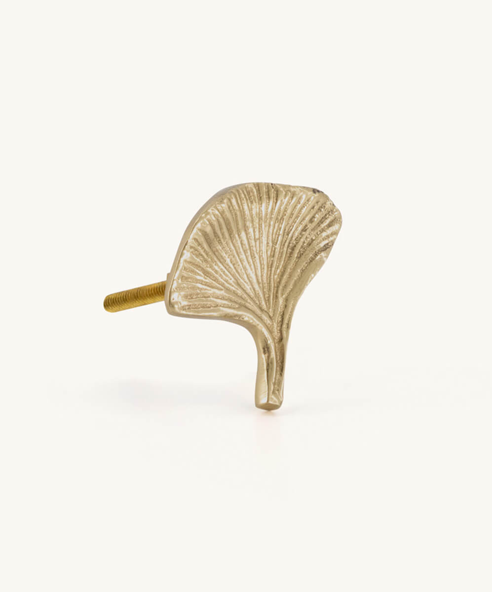 Tirador flora Ginko para decoración de la casa con dorado