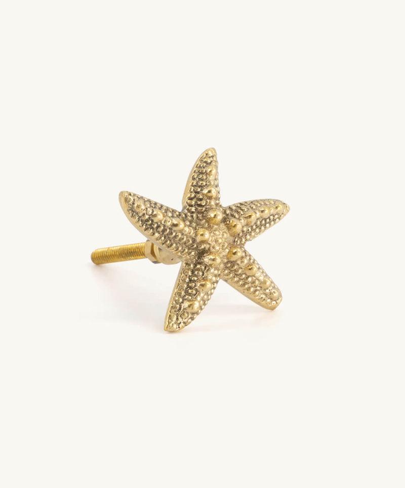 Starfish-shaped handle for marine furniture decoration