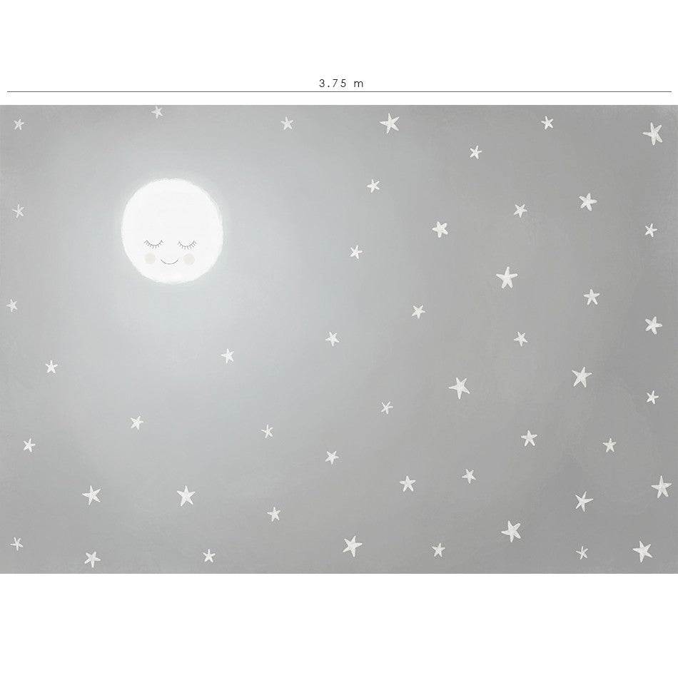 Mural de pared Mi Cielo - gris con un dulce dibujo de luna llena iluminando la noche estrellada.