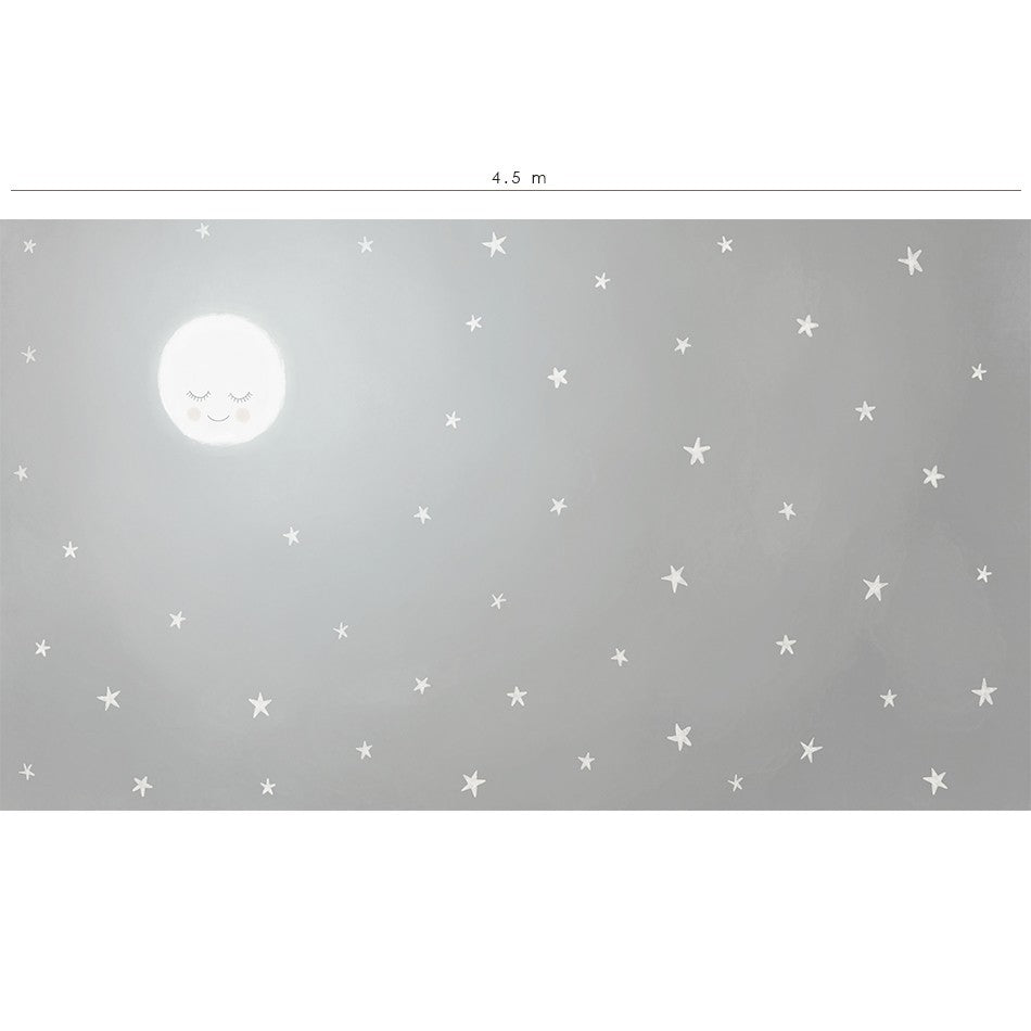 Mural de pared Mi Cielo - gris con un dulce dibujo de luna llena iluminando la noche estrellada.